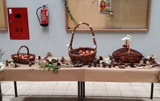 Pequenos Gestos Grandes Frutos